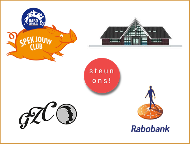 Lees meer over het artikel Rabo ClubSupport